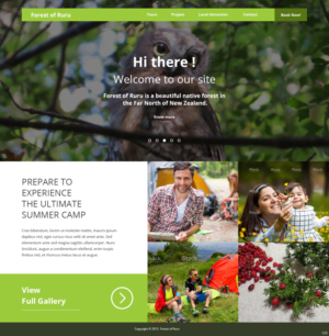 Web Design by pb for this project | Design: #7198725
