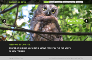 Web Design by Shine for this project | Design: #7282744