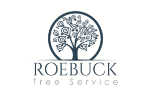 Logo Design by ESolz Technologies