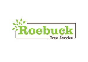 Logo Design by ESolz Technologies