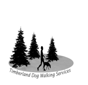 Logo Design by AUMENTO IT SOLUTIONS P LTD