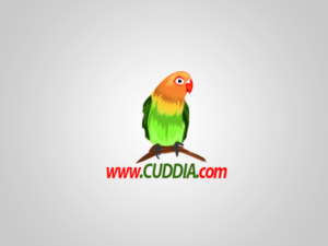 Logo Design by rastf2day for this project | Design: #7317494