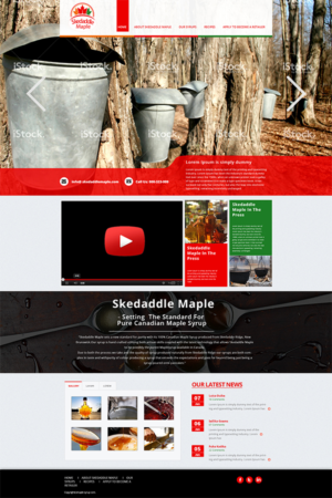 Web Design by Bright Star