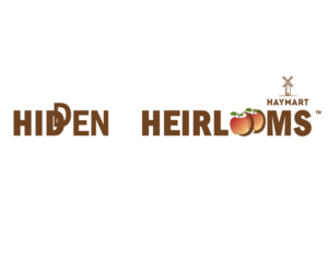 Logo Design by Anca Popescu