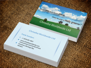 Business Card Design by Pixi Dust for Chriseba Worldwide Ltd. | Design: #7230772