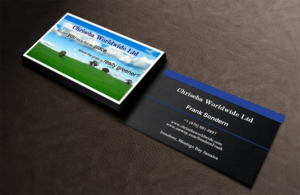 Business Card Design by Pixi Dust for Chriseba Worldwide Ltd. | Design: #7230774