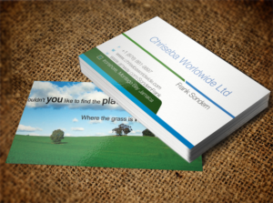 Business Card Design by Pixi Dust for Chriseba Worldwide Ltd. | Design: #7231319