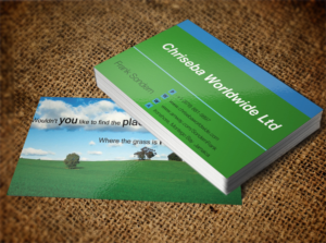 Business Card Design by Pixi Dust for Chriseba Worldwide Ltd. | Design: #7231321