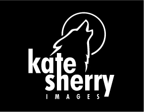 Logo Design by Sujit Banerjee for kate sherry photography | Design: #7231970