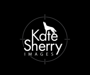 Logo Design by Sujit Banerjee for kate sherry photography | Design: #7231973