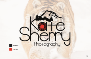 Logo Design by trdebose
