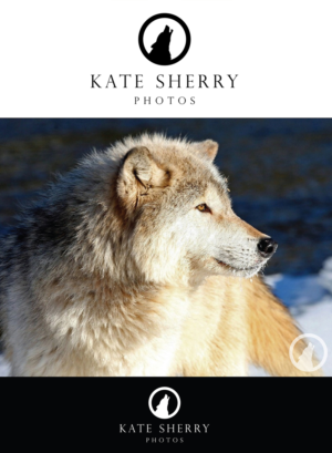 Logo Design by Ves-Boycheva for kate sherry photography | Design: #7241827