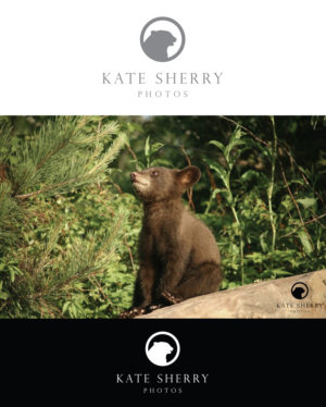 Logo Design by Ves-Boycheva for kate sherry photography | Design: #7241829