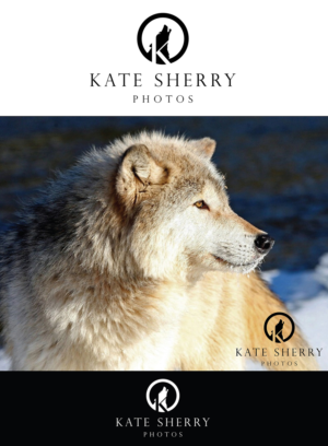 Logo Design by Ves-Boycheva for kate sherry photography | Design: #7241830