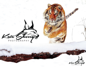 Logo Design by Darlene Munro for kate sherry photography | Design: #7318531
