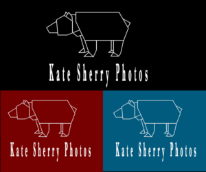 Logo Design by zsortino22 for kate sherry photography | Design: #7245428