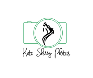 Logo Design by helex