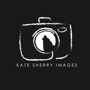 Logo Design by alexandraalvez for kate sherry photography | Design: #7227281