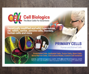 Flyer Design by see why for this project | Design: #7224965