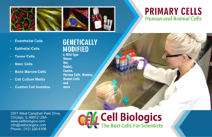 Flyer Design by Jyotsna for this project | Design: #7342170