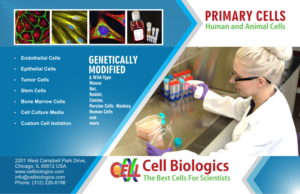 Flyer Design by Jyotsna for this project | Design: #7342282