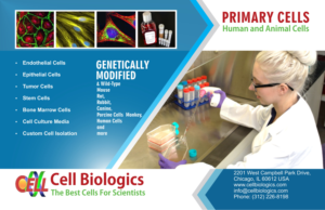 Flyer Design by Jyotsna for this project | Design #7342406