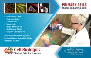 Flyer Design by Jyotsna for this project | Design: #7502874