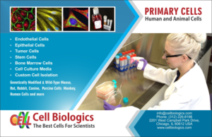 Flyer Design by Jyotsna for this project | Design: #7503145