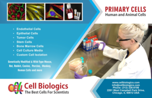 Flyer Design by Jyotsna for this project | Design: #7506762