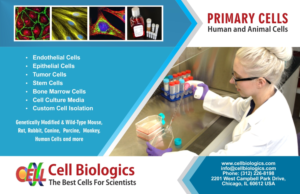 Flyer Design by Jyotsna for this project | Design: #7517378