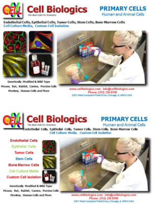 Flyer Design by Tigerzx5 for this project | Design: #7215717