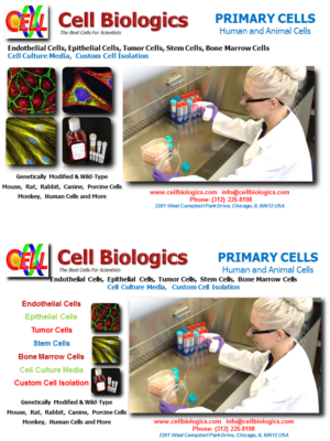 Flyer Design by Tigerzx5 for this project | Design: #7215718