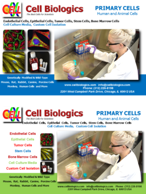 Flyer Design by Tigerzx5 for this project | Design: #7215719