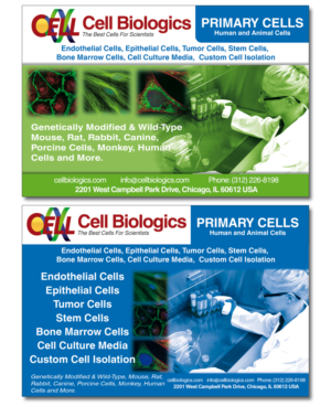 Flyer Design by ernestsegovia for this project | Design #7330147