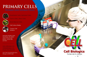 Flyer Design by apolgv for this project | Design #7218256