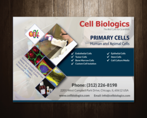 Flyer Design by meet007 for this project | Design: #7354851