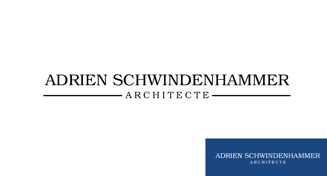 Logo Design by YudhaDesign for schwindenhammer | Design #1856836