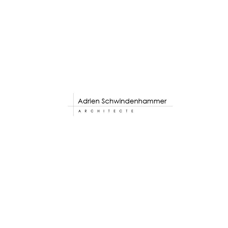 Design de Logo par Alchemist pour schwindenhammer | Design #1830391