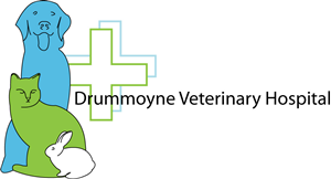 Logo Design by EELINGDESIGN for Drummoyne Vets | Design: #1848196