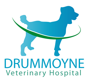 Logo Design by markgraphics.ja