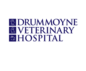 Logo Design by garylamdesign for Drummoyne Vets | Design: #1842103