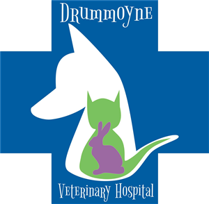 Logo Design by For Shore Designs for Drummoyne Vets | Design: #1848055