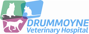 Logo Design by liz.hargreaves for Drummoyne Vets | Design: #1869754