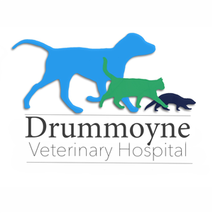 Logo Design by Mulberry tree Designs for Drummoyne Vets | Design: #1870514