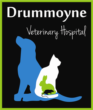 Logo Design by bionic babe
