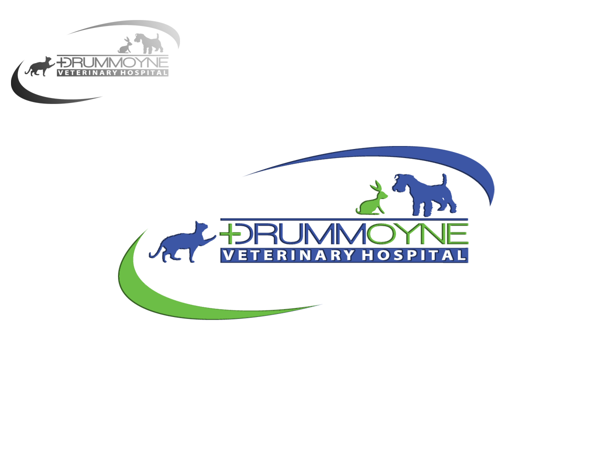 Logo Design by hirundo.design for Drummoyne Vets | Design #1844893