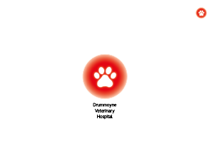Logo Design by D. Quinas