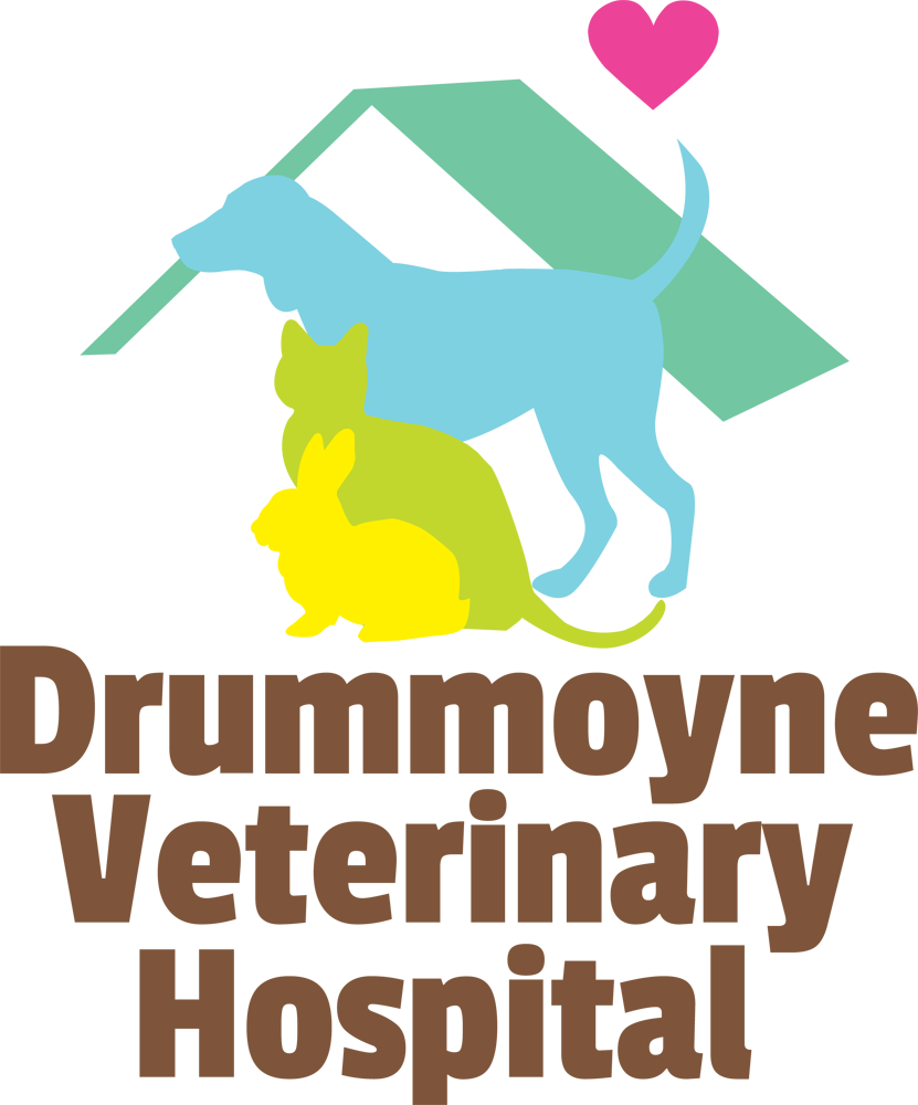 Logo Design by Howell Designs for Drummoyne Vets | Design #1856711