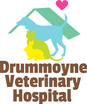 Logo Design by Howell Designs for Drummoyne Vets | Design: #1856711