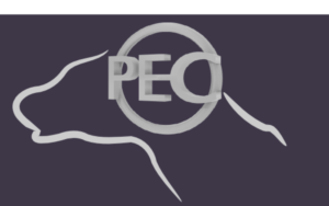 Diseño de Logo por arvmehta para este proyecto | Diseño: #7229557